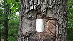 20180501_180516_resize_2