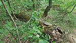 20180501_181142_resize_2