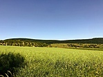 IMG_9762