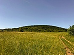 IMG_9766