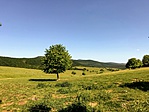 IMG_9774