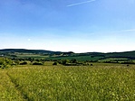 IMG_9775