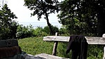 104. Magányos Fenyő SZIGLIGETEN (6)