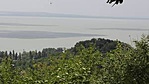 104. Magányos Fenyő SZIGLIGETEN (4)