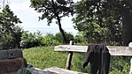 104. Magányos Fenyő SZIGLIGETEN (7)