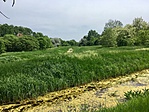 IMG_5154