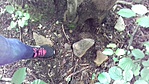 20180525_130354