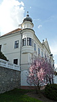 SAM_3847