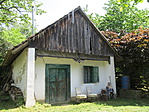 IMG_9581