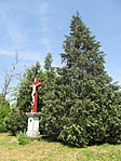IMG_9582