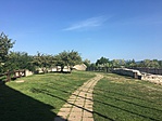 IMG_4699