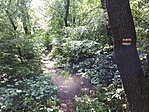 20180430_114650