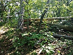 1. pont környéke