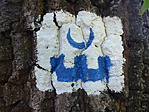 -4