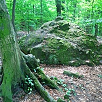 IMG_20180526_121846
