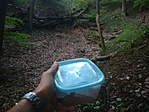 IMG_20180504_193110
