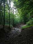 IMG_20180504_193414