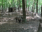 IMG_20180513_131625
