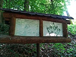 IMG_20180513_135633