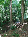 IMG_20180513_140254