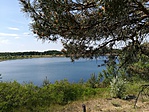 IMG_20180513_145920