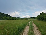 IMG-239dabcbe858e80c1344b4f88e341b06-V