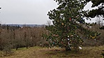 20180103_133035