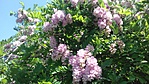 20180506_132203