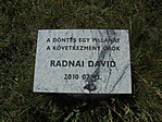DSC02222