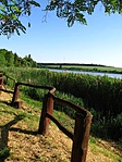 IMG_3983