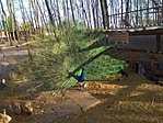 IMG_20180421_180439