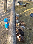 IMG_20180421_180930
