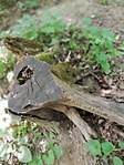 IMG_20180531_103741