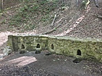 Forrás