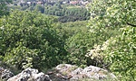 20180501_105843