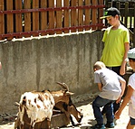 IMG_1990