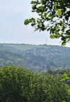 DSC_0021