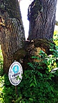 IMG_20180513_163855