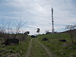 DSCN7837