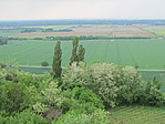 IMG_1369