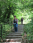 IMG_1549