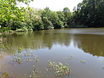 DSC00963
