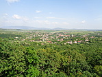 DSC00992