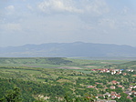 DSC00986