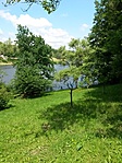 20180519_115559