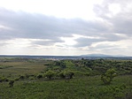 IMG_20180427_152327