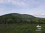 IMG_20180427_154553