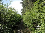 IMG_20180511_152503