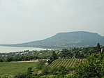 DSCN0949