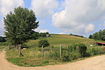 Zselic 008